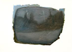 Tube Patch